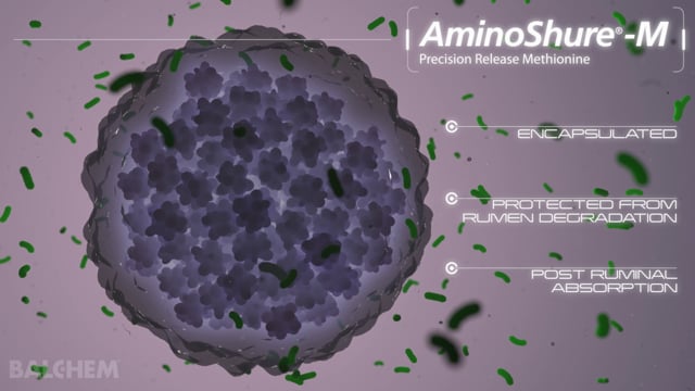AminoShure-M : Precision Release Methionine