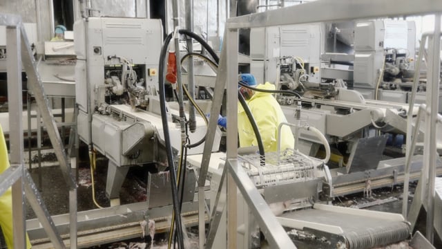 BAADER 189 Filleting machine expained