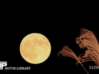 月とススキ　満月　スーパームーン　９月２８日 月１０倍速、ススキ等速で合成