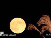 月とススキ　満月　スーパームーン　９月２８日 月とススキを合成