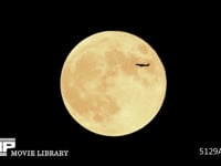 スーパームーン　満月　ジェット機通過　９月２８日 ０．５倍速
