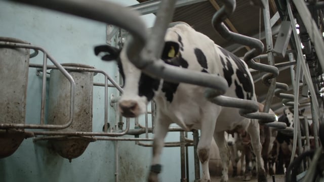 National Farmers Union - Customer Case Study