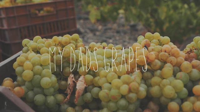 My Dad’s Grapes