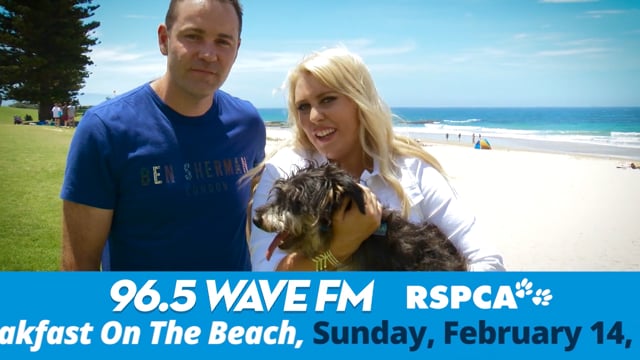 Wave FM BOTB GBPWFMTVC03 Version 3E+