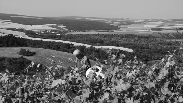 Domaine Bersan Mont Embrasé 2015