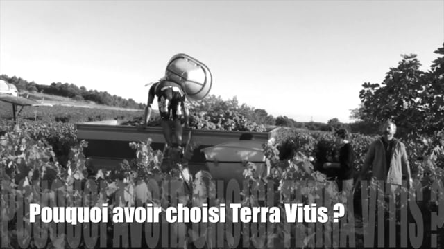 Pourquoi avoir choisi Terra Vitis?