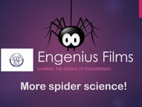 More amazing spider science!