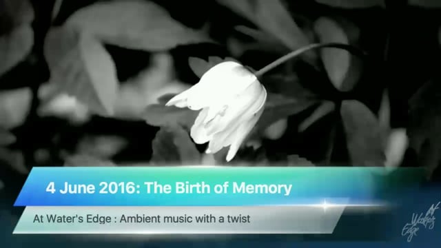 The Birth of Memory