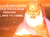 The fire of true knowledge reduces all sins to ashes.