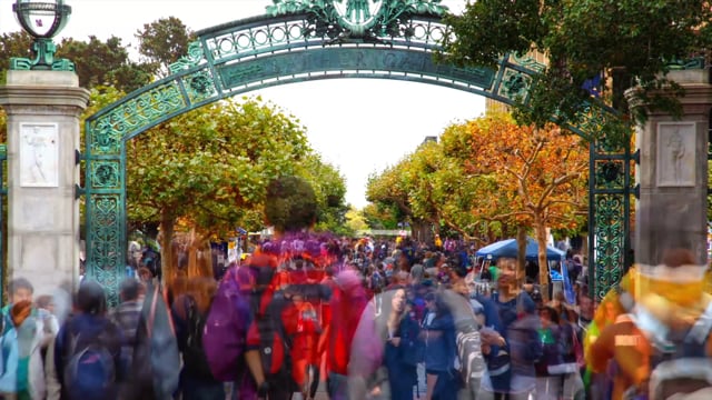 Ferrilli - Customer Success Story