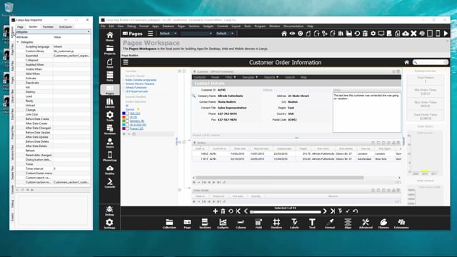 The App Inspector in the Lianja App Builder v3