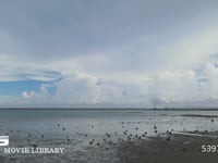 沖縄県泡瀬の干潟　02 沖縄県泡瀬の干潟の風景　DCI 4K　フィックス撮影