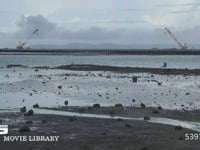 沖縄県泡瀬の干潟　03 沖縄県泡瀬の干潟の風景　DCI 4K　フィックス撮影