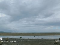 沖縄県泡瀬の干潟　15 沖縄県泡瀬の干潟の風景　DCI 4K　フィックス撮影