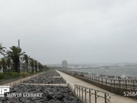 台風9号　強風と雨 4K　8月22日