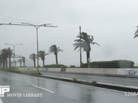 台風9号　強風と雨 4K　海沿いの道路　8月22日