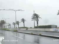 台風9号　強風と雨 4K　海沿いの道路　8月22日