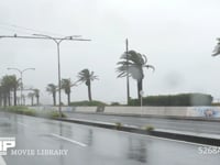 台風9号　強風と雨 4K　海沿いの道路　8月22日