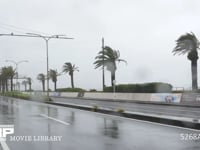 台風9号　強風と雨 海沿いの道路　8月22日