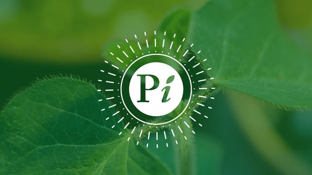 Plant Impact - Customer Success Story