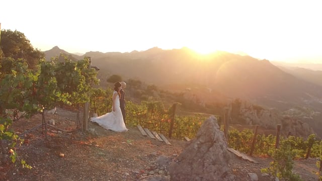 LeAnne + Brian Wedding Higlight Film // Malibu Rocky Oaks Estate Vineyards // Los Angeles Videographer