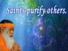 Saints purify others
