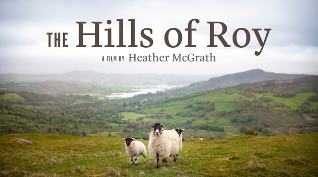 Hills Of Roy