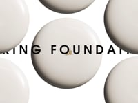 Martin Vallin - H&M Spring Foundation
