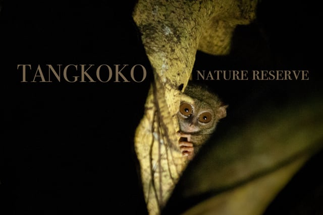 Tangkoko Nature Reserve 