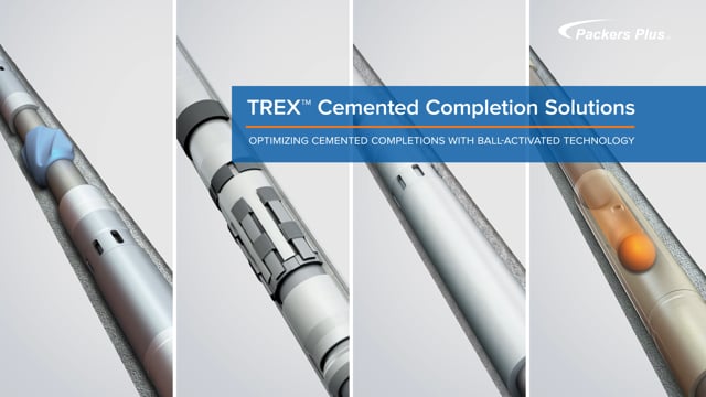 TREX Cemented Completion Solutions