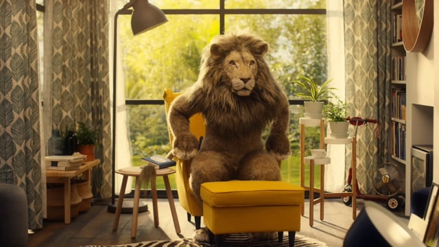 IKEA - Customer Case Study