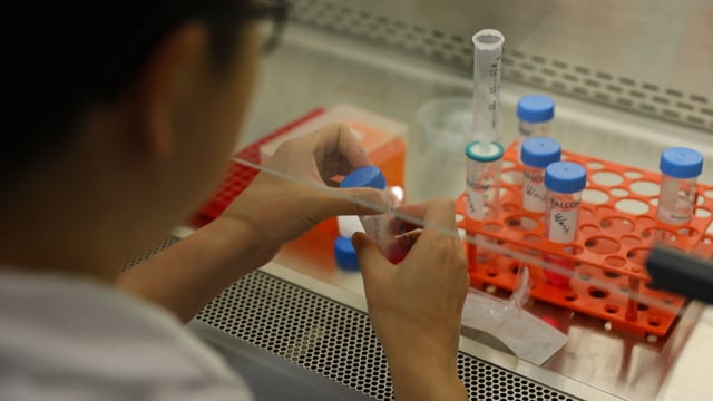 Regenerative Medicine Minnesota - Customer Success Story (Daniel J. Garry - Research Grant Recipient)