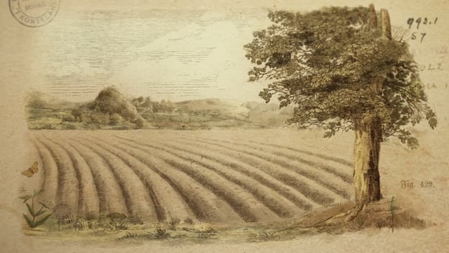 Yara Knowledge Grows - Customer Success Story