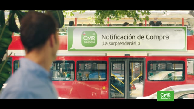 Video 1 Image