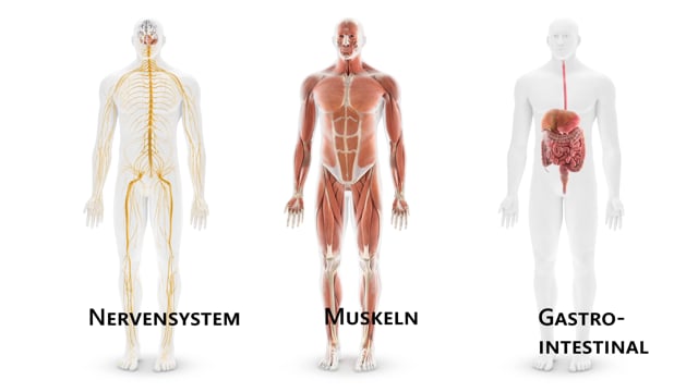 AvatareFull Systeme Rotation 01