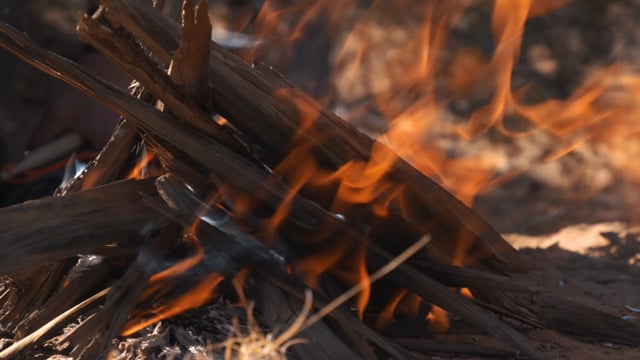 Win Gate "The energy inside the fire"