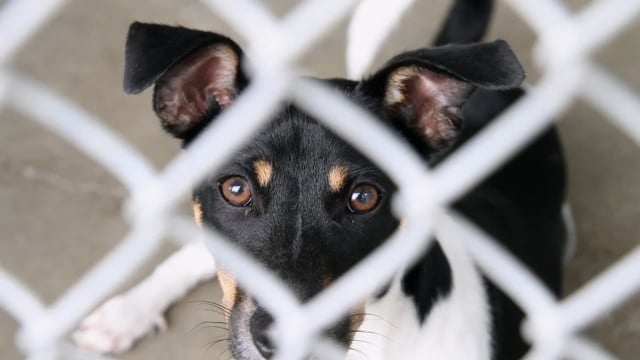 We need your Support DRHS