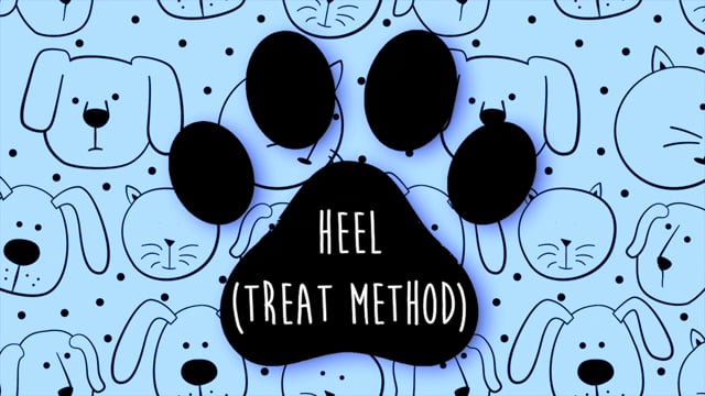Heel (Treat Method) DRHS