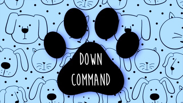 Down Command DRHS