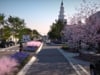 Broad Street 3D Model and Animation - Camden, South Carolina