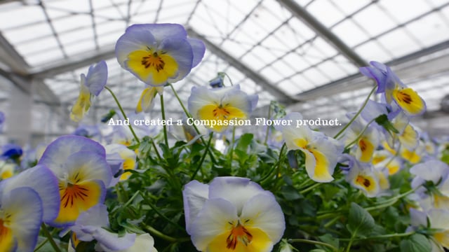 Mrs. Meyers Compassion Flower