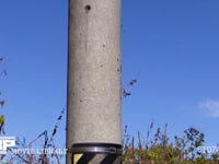 テントウムシ　越冬前集団 小春日和の日、電柱に飛来し集まる　0.3倍速