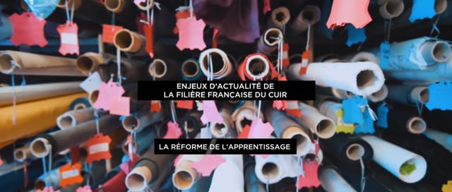 enjeux_dactualite_de_la_filiere_francaise_du_cuir_-_reforme_de_lapprentissage