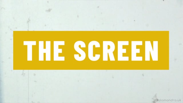 The Screen Cinema - Customer Success Story