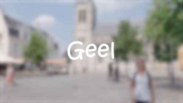 09 - Antwerpen - Niveau 3 - Geel