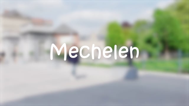 08 - Antwerpen - Niveau 2 - Mechelen