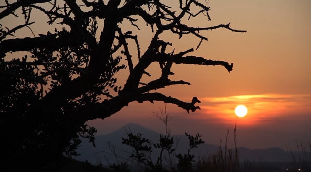 SUNSET WITH SHADOW