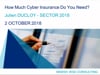 SecTor 2018 - Julien Ducloy - How much Cyber Insurance Do You Need, or Do You Need it at All 