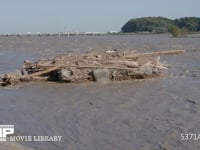 大井川下流　台風24号上陸の翌日 10月1日撮影　島田市谷口橋付近