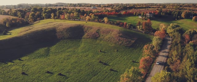 Harpreet & Kiran's Wedding Highlight